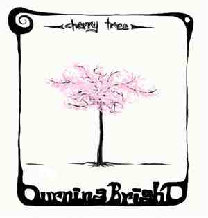 Burning Bright - Cherry Tree