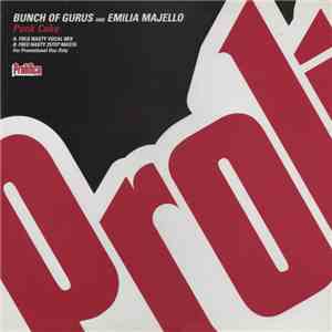 Bunch Of Gurus And Emilia Majello - Punk Cake