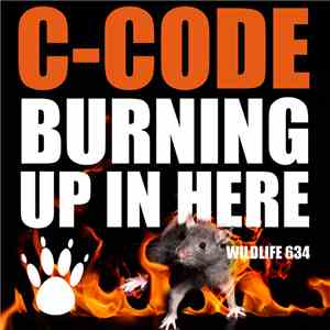 C-Code - Burning Up In Here