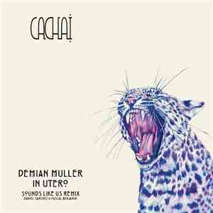 Demian Muller, Daniel Sanchez, Pascal Benjamin, Sounds Like Us - In Utero
