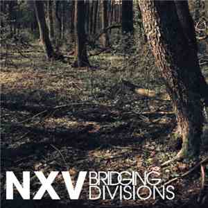 NXV - Bridging Divisions