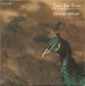 Tears For Fears - The Way You Are