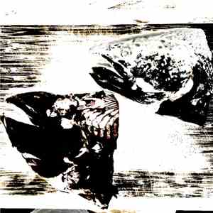Phonophobia  - Cut And Bait
