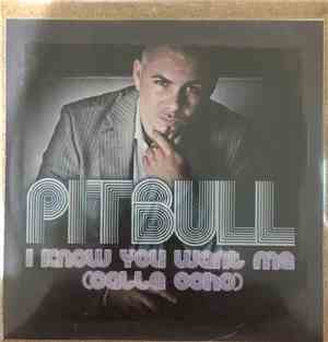 Pitbull - I Know You Want Me (Calle Ocho)