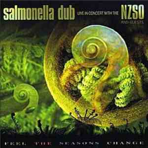 Salmonella Dub - Feel The Seasons Change - Live With The NZSO