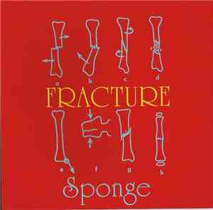 Sponge  - Fracture