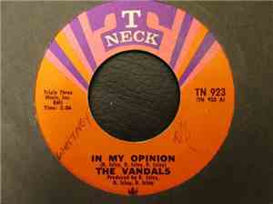 The Vandals  - In My Opinion