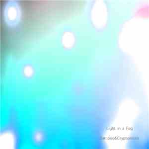 Voile - Light In A Fog