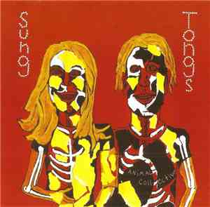 Animal Collective - Sung Tongs