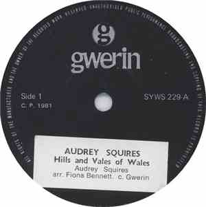 Audrey Squires - Hills And Valleys Of Wales
