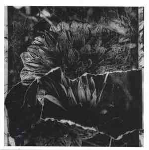 Hostage Pageant - Impediment