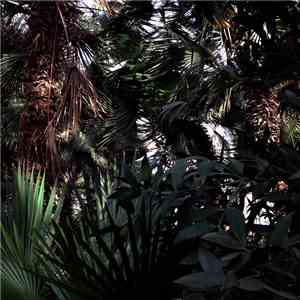 Marie Dior - House Is Where The Beat Is