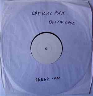 Critical Mass - Burnin Love