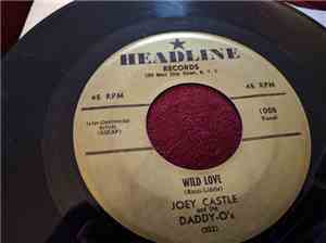 Joey Castle And The Daddy-O's  - Wild Love