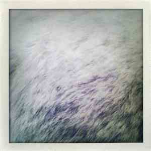 Philip Bader & Andrea Oliva - Animales