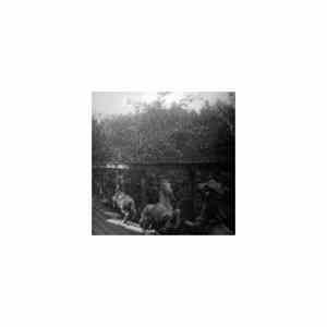 Unbunny - Fission Romance The West