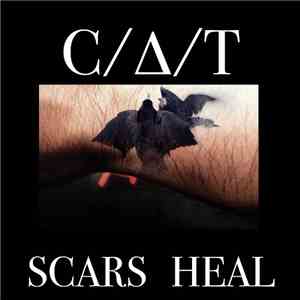 C/∆/T - Scars Heal