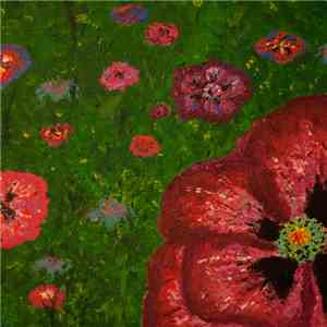 Posies - Hoker