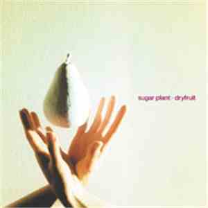 Sugar Plant - Dryfruit