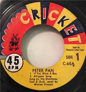 The Overtones Orchestra - Peter Pan