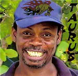 Taurus  - Taurus