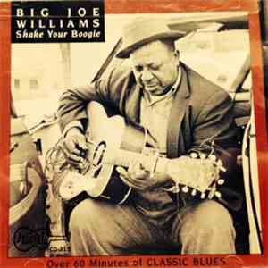 Big Joe Williams - Shake Your Boogie