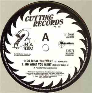 2 In A Room - Do What You Want