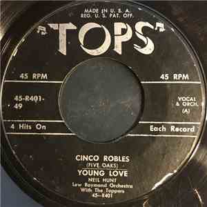 Lew Raymond Orchestra With The Toppers  - Cinco Robles / Young Love / Blue  ...