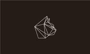 Pindrops - LINES