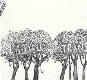 The Ladybug Transistor - Here Comes The Rain EP