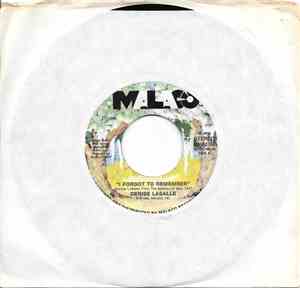 Denise LaSalle - I Forgot To Remember