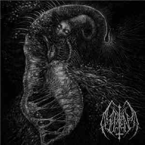 Ill Omen - Divinity Through Un-Creation