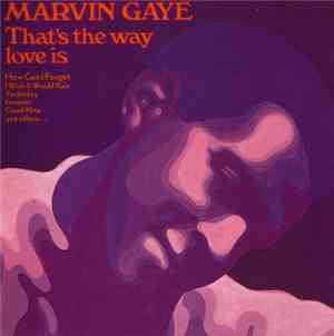 Marvin Gaye - That's The Way Love Is