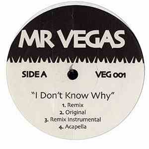 Mr Vegas - I Don't Know Why / Looney Tunes Raggaeton Mixes