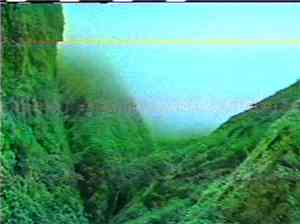 Weedhouses - Pacific Afterworld