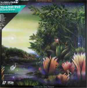 Fleetwood Mac - Tango In The Night