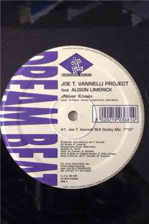 Joe T. Vannelli Project Feat. Alison Limerick - Never Knew
