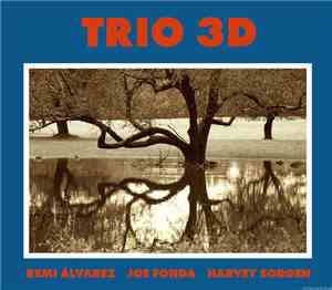 Remi Álvarez, Joe Fonda, Harvey Sorgen - Trio 3D