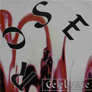 Rose  - Celebrate