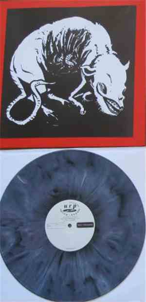 Roses Never Fade - Fade To Black
