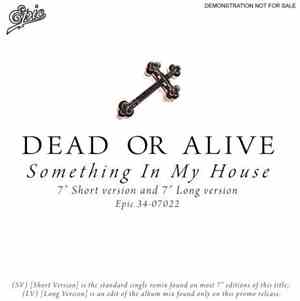 Dead Or Alive - Something In My House