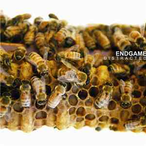 Endgame  - Distracted