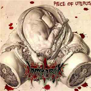 Inverted Pussyfix - Piece Of Uterus