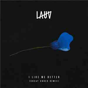 Lauv - I Like Me Better (Cheat Codes Remix)