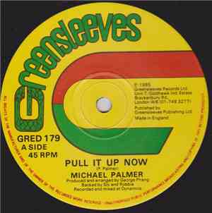 Michael Palmer - Pull It Up Now / Mr. Big Stuff
