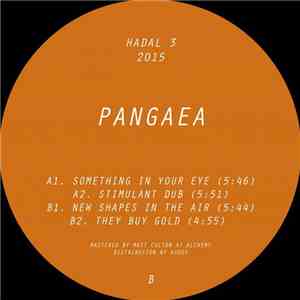 Pangaea  - New Shapes In The Air