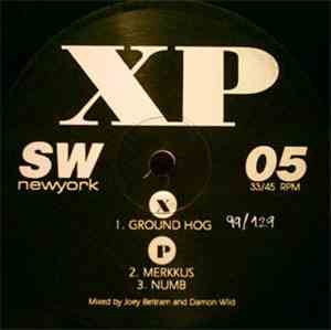 XP - Ground Hog