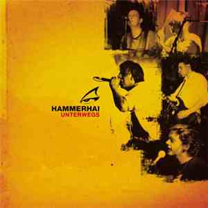 Hammerhai - Unterwegs