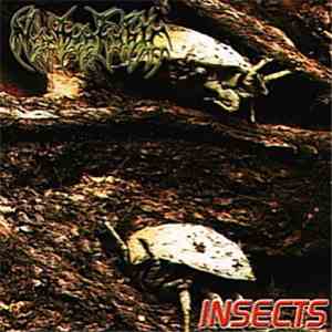 Nyctophobic - Insects