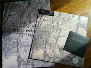 Esben And The Witch - Violet Cries